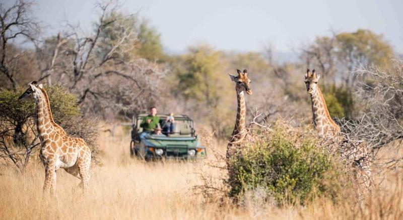 Mziki Safari Lodge Beestekraal  Dış mekan fotoğraf