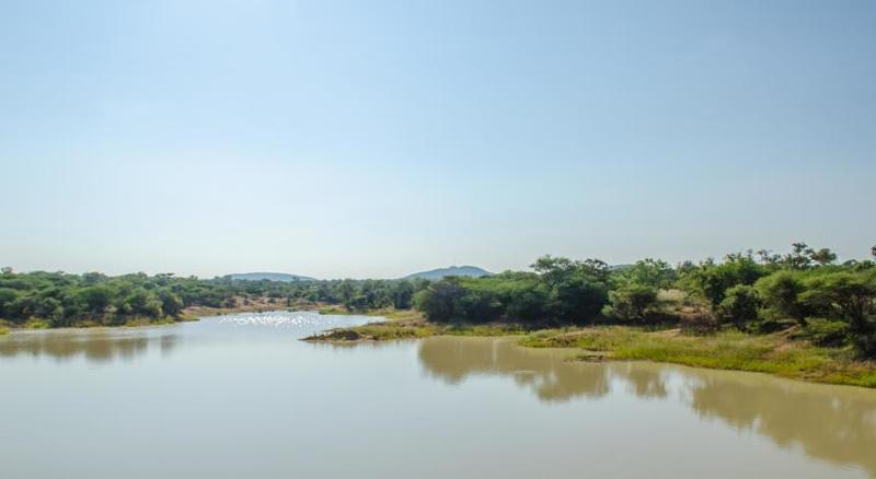 Mziki Safari Lodge Beestekraal  Dış mekan fotoğraf