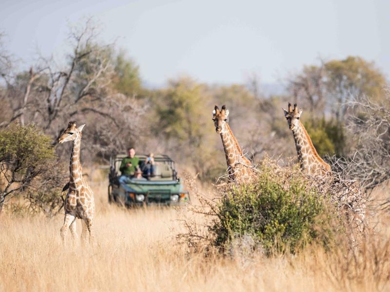 Mziki Safari Lodge Beestekraal  Dış mekan fotoğraf